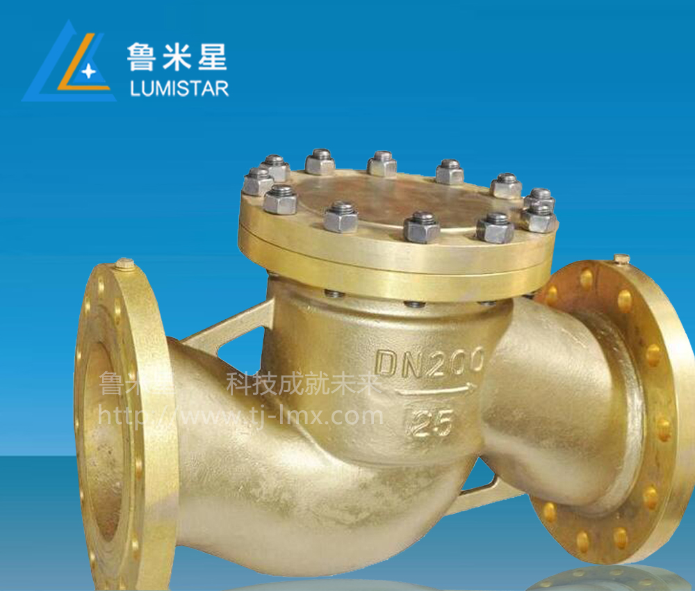 氧氣止回閥氧氣閘閥產(chǎn)品圖.jpg